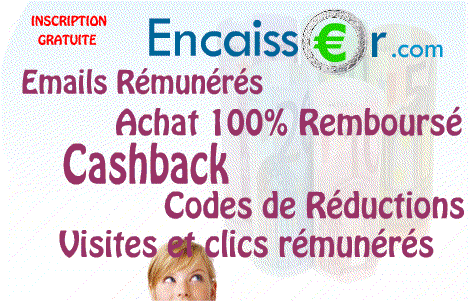 vous devez avoir le plugin flash installe